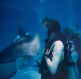 Diving with a stingray